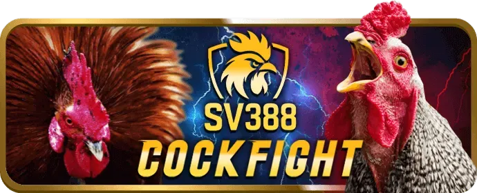 Trải nghiệm chơi game công bằng và minh bạch
